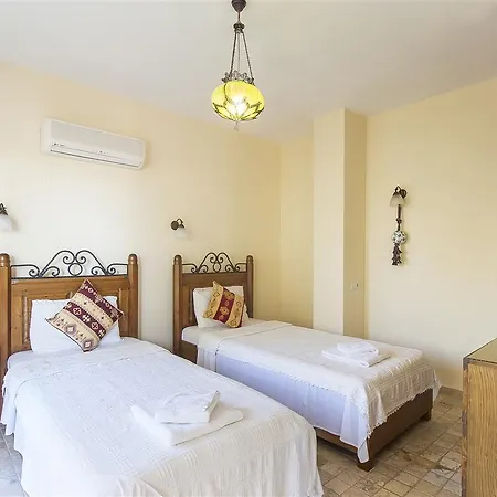 Nar * Kalkan